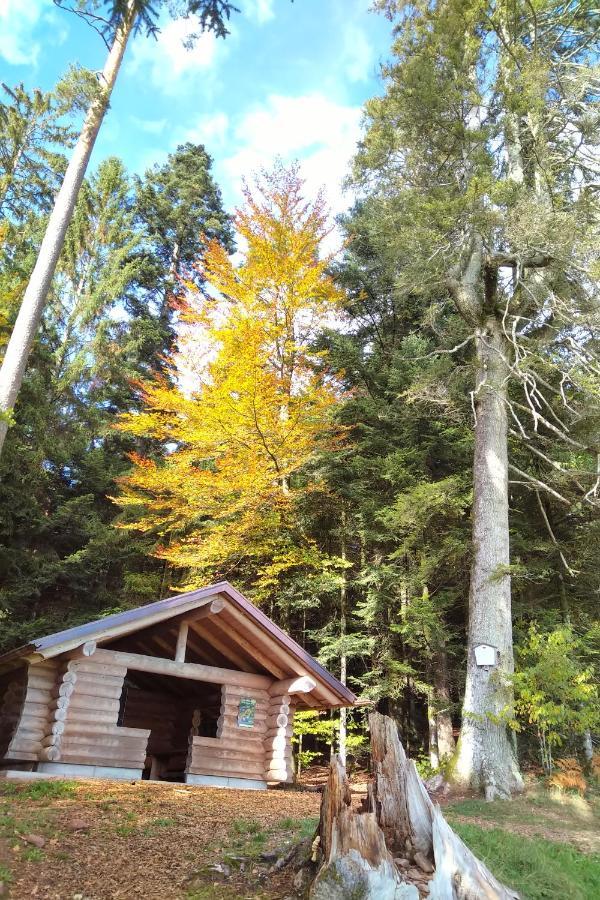 Tiny-Ferienhaeusle Casa Wendy Villa Lossburg Luaran gambar